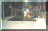 NewFloor.jpg (31773 bytes)